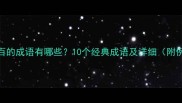 数字百的成语有哪些10个经典成语及详细附例句