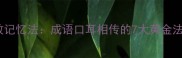 高效记忆法成语口耳相传的7大黄金法则