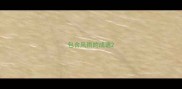 包含风雨的成语