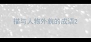 描与人物外貌的成语