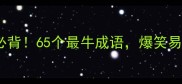 小学到高中必背65个最牛成语爆笑易懂秒变学霸