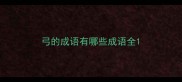 弓的成语有哪些成语全