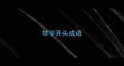 琴字开头成语