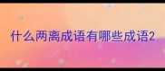 什么两离成语有哪些成语