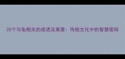 20个与龟相关的成语及寓意传统文化中的智慧密码