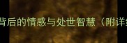 藕断丝连成语背后的情感与处世智慧附详细及实用案例