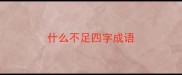 什么不足四字成语