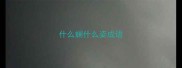 什么斓什么姿成语
