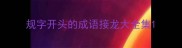 规字开头的成语接龙大全集