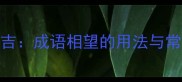 相望成吉成语相望的用法与常见误区