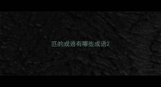 匹的成语有哪些成语