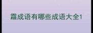 霜成语有哪些成语大全