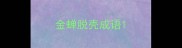 金蝉脱壳成语