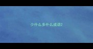 少什么多什么成语