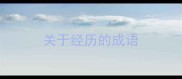 关于经历的成语