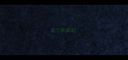 忠三字成语