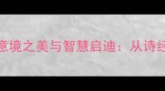 月光如系列成语的意境之美与智慧启迪从诗经到现代文学的经典