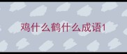 鸡什么鹤什么成语