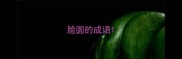脸圆的成语