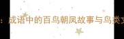 一鸣惊人成语中的百鸟朝凤故事与鸟类文化探秘