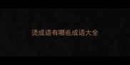 烫成语有哪些成语大全