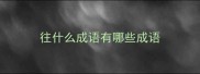 往什么成语有哪些成语