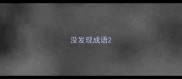 没发现成语