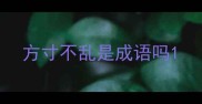方寸不乱是成语吗
