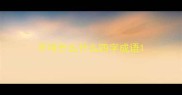 不可什么什么四字成语