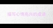 描写心情高兴的成语