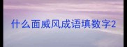 什么面威风成语填数字