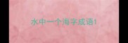 水中一个海字成语