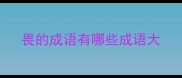 畏的成语有哪些成语大