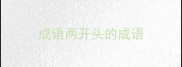 成语两开头的成语