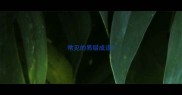 常见的易错成语