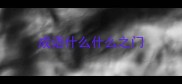 成语什么什么之门