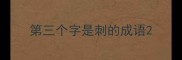 第三个字是刺的成语