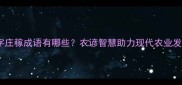 四字庄稼成语有哪些农谚智慧助力现代农业发展