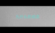 九什么的成语