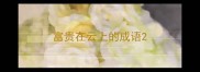 富贵在云上的成语