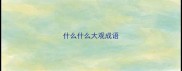 什么什么大观成语