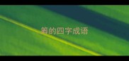 筹的四字成语