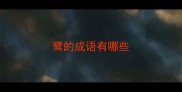 鹭的成语有哪些
