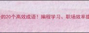技术人必备的20个高效成语编程学习职场效率提升全攻略