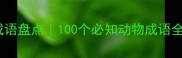 动物名称的趣味成语盘点100个必知动物成语全附记忆技巧