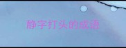 静字打头的成语