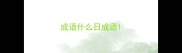 成语什么日成语