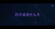 四字成语什么天