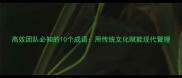 高效团队必知的10个成语用传统文化赋能现代管理