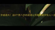 八字成语大这8个带八字的成语让你职场晋升快人一步